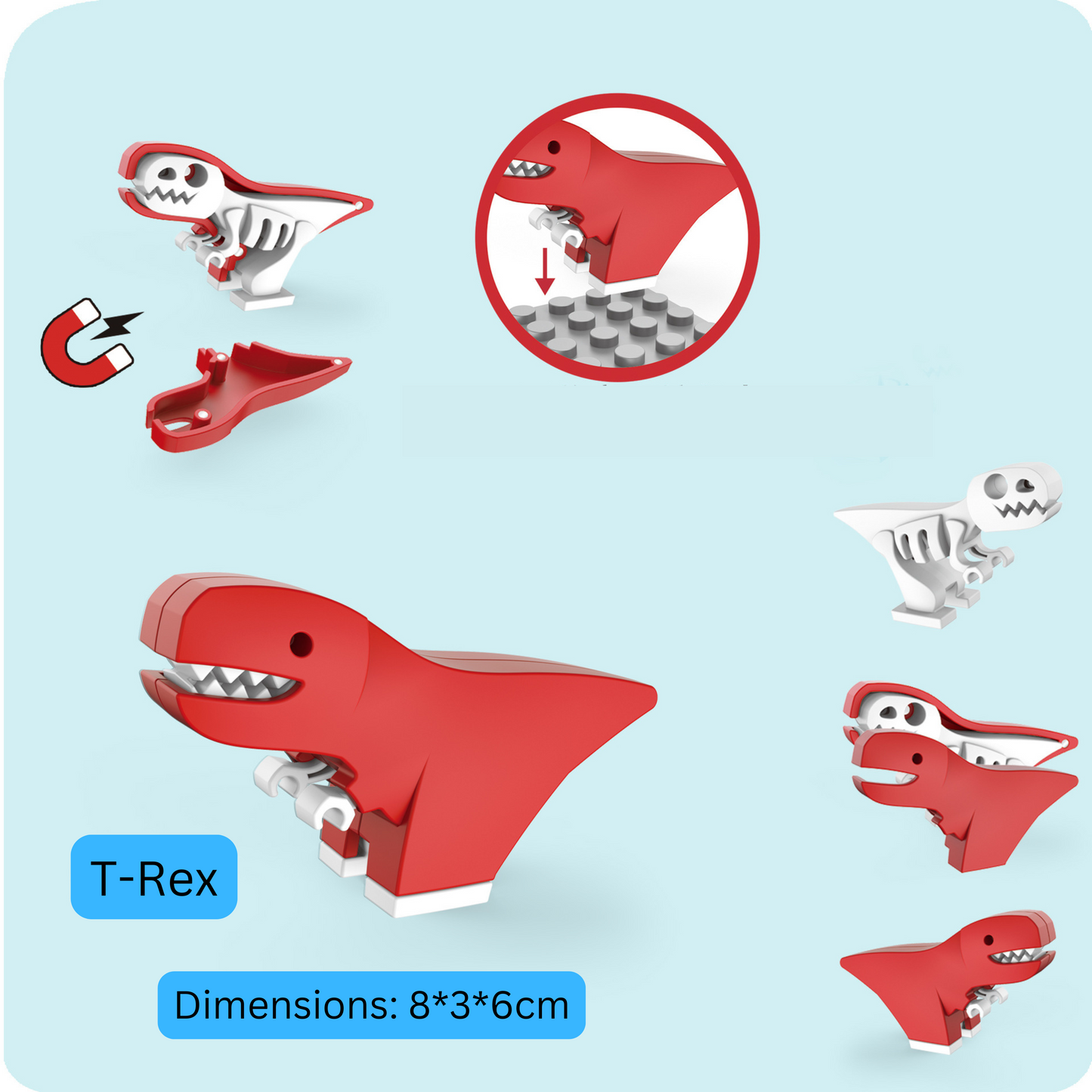 Magnetic Take Apart Model Dinosaur Set